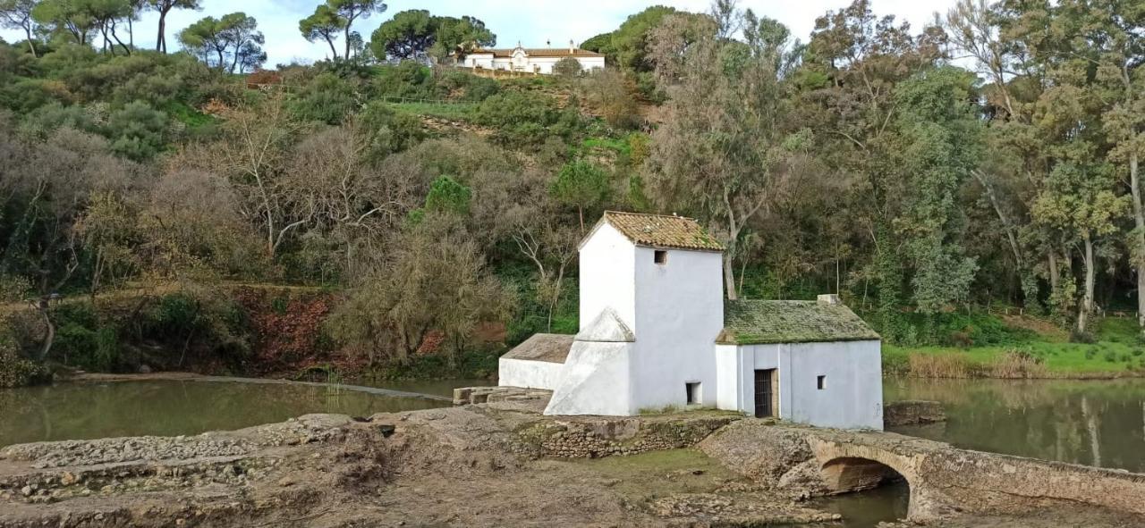 Ferienwohnung La Casa Del Cura 1935 Alcalá de Guadaira Exterior foto